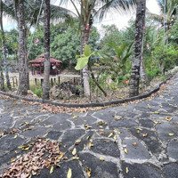 Bán Đất Nhà Vườn Nghỉ Dưỡng Siêu Đẹp. Cách Quốc Lộ 20 Chỉ 300M.diện Tích5500M2 -Mặt Tiền50M X110 (Gồm 2 Sổ)