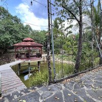 Bán Đất Nhà Vườn Nghỉ Dưỡng Siêu Đẹp. Cách Quốc Lộ 20 Chỉ 300M.diện Tích5500M2 -Mặt Tiền50M X110 (Gồm 2 Sổ)