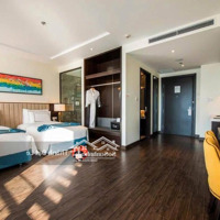 Cần Bán Cắt Lỗ Căn Studios 37M2 Tại Chung Cư The Sapphire S2, Bao Biển Bến Đoan, Tp. Hạ Long.