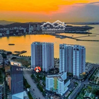 Tổng Hợp Quỹ Căn Hộ 1 Phòng Ngủ 2 Phòng Ngủcho Thuê Tại Chung Cư Sapphire S2, Bến Đoan, Trung Tâm Tp Hạ Long.