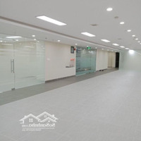 Cho Thuê Văn Phòng Giá Tốt Tô Hiến Thành Quận 10 -Diện Tích275M2 Giá Thuê 62.000.000/Th Đã Bao Gồm Pql
