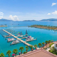 Lô Cặp Vip Khu Lấn Biển Vĩnh Hoà Mặt Tiền Lên Đến 32Mdiện Tích: 665M2 Xung Quanh Đầy Đủ Tiện Ích