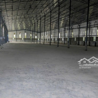 Cho Thuê Xường Ngay Cầu Mỹ Thuận Vĩnh Longdiện Tích3000M2