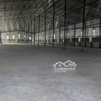 Cho Thuê Xường Ngay Cầu Mỹ Thuận Vĩnh Longdiện Tích3000M2