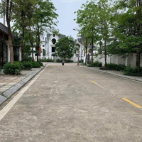 Cần Bán Biệt Thự Thành Thái Gần Công Viên Cầu Giấy, 300M2Mặt Tiền16M Đẹp Nhất Khu
