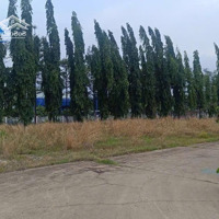 Cho Thuê Đất Trống Trong Kcn Nhơn Trạch 9000M2 Giá 20 Nghìn/M² Liên Hệ: 0933725660