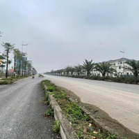 Bán 50M Siêu Hiếm, 1 Lô Duy Nhất Dv4.5Ha Vân Canh