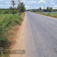 Cần Bán Đất Kế Trường Thpt Đức Hòa, Long An, Đường Nguyễn Văn Dương, 99M2 Giá Bán 648 Triệu, Full Thổ