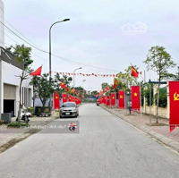 Bán Lô Đất Biệt Thự 313,6M² Phố Ngô Hùng, Thành Tô, Hải An.