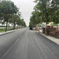 (Chính Chủ) Bán Đất Đấu Giá Đồng Phươm Thọ Lộc Lô Góc View Công Viên Gần Quốc Lộ 32 Sát Khu Dân Cư