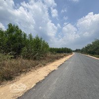Bán Đất Mặt Tiền Đường Pà Tá Gia Huynh, 7,5 Tỷ, 2462 M2, Gần Khu Dân Cư, Sắp Mở Khu Công Nghiệp.