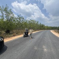 Bán Đất Mặt Tiền Đường Pà Tá Gia Huynh, 7,5 Tỷ, 2462 M2, Gần Khu Dân Cư, Sắp Mở Khu Công Nghiệp.