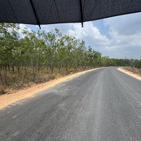 Bán Đất Tại Pà Tá, Gia Huynh, Tánh Linh, Bình Thuận, Giá Cực Chất 17,5 Tỷ, 8205M2