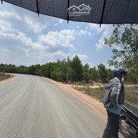 Bán Đất Tại Pà Tá, Gia Huynh, Tánh Linh, Bình Thuận, Giá Cực Chất 17,5 Tỷ, 8205M2