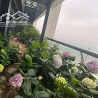 Bán Penthouse, 5 Phòng Ngủ4Vc, Diện Tích 457M2, Sẵn Sổ Đỏ Tại Aqua Central Yên Phụ, Ba Đình, Hà Nội