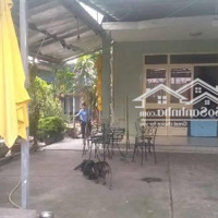 Bán Đất 450M2 Ngang 12M Chỉ 40 Triệu/M2 Trung Tâm P. Hiệp Phú Tp. Thủ Đức, Hẻm Xe Hơi 6M