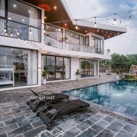 Cần Vốn Đầu Tư Nên Chủ Cần Bán Khu Homestay Còn Mới Nguyên, Thiết Kế Sang Xịn Mịn, Đang Vận Hành