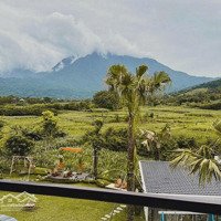 Cần Vốn Đầu Tư Nên Chủ Cần Bán Khu Homestay Còn Mới Nguyên, Thiết Kế Sang Xịn Mịn, Đang Vận Hành