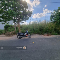 Chủ Cần Bán Lô Trà Kha, P8 Cách Bệnh Viện Đa Khoa Thanh Vũ Medic 1,6Km, Bạc Liêu.diện Tích120M2/ 500 Triệu