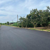 Đất Bông Trang Gần Biển Gần Rừng, Diện Tích: 2000M2 Khí Hậu Mát Mẻ, Đường Nhựa Khu Dân Cư, Có Vườn Nhãn