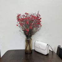 Cho Thuê Căn Hộ 2N+1Vs Ở Ngay.