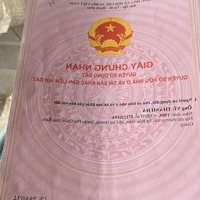 Chủ Cần Tiền Ra Đi Nền Cây Thông Trong, Sổ Hồng Riêng
