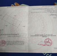 Chủ Cần Tiền Ra Đi Nền Cây Thông Trong, Sổ Hồng Riêng