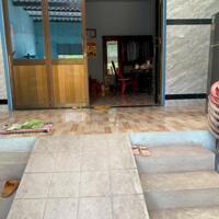 Mua đất tặng nhà cấp 4 mới xây 255m2 xã Tân Chánh giá bao rẻ cho khách 900tr