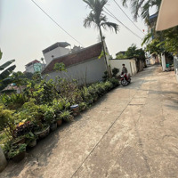 Hiếm - Rẻ, Đất Trung Tâm Ngọc Hồi Đại Áng 50 Triệu/M2