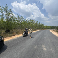 Bán Đất Mặt Tiền Pà Tá, Gia Huynh 19,8 Tỷ, 6474 M2, Tánh Linh, 2 Mặt Tiền. Sắp Mở Khu Công Nghiệp