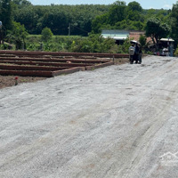 Cần Bán Gấp Lô Đất Đẹp - An Linh, Phú Giáo - Giá Chỉ 750 Triệu