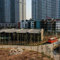 Cđt Thanh Khoản Gấp Hạ Giá Bán 5 Tỷ Căn Mặt Vườn Hoa Trung Tâm Ia20 Cực Đẹp