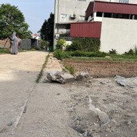 Chính Chủ Cần Bán Gấp Mảnh Đất Phân Lô Thông Bàn Cờ Từ Hồ Yên Mỹ Hưng Yên. Dt: 125,4M2 Mt: 5 Cd: 25