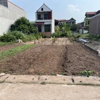 Chính Chủ Cần Bán Gấp Mảnh Đất Phân Lô Thông Bàn Cờ Từ Hồ Yên Mỹ Hưng Yên. Dt: 125,4M2 Mt: 5 Cd: 25