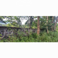 Chính Chủ Chưa Qua Môi Giới. Bán Mảnh Đất Sổ Đỏ Cạnh Hồ Đồng Chanh, Cư Yên, Lương Sơn, Hòa Bình
