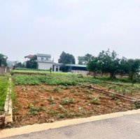 126M2 Giá Chỉ Hơn 20 Tr 1 M Nằm Trên Trục Chính Trải Apphan Xã Phú Cát Khu Công Nghệ Cao Hoà Lạc