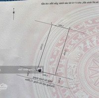 67.5M2 Đất Tđc Cây Đa Tuyến 2 Bạch Thái Bưởi - Ngang 5M - Đông Nam