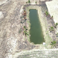 Bán 4Ha Đất Nông Nghiệp Có Sẵn Điện Nước, Đất Bằng Phẳng Gần Nút Giao Cao Tốc Ninh Xuân