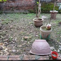 Cô Lan Cần Bán 40 M2 Đất Tại Phường Phúc Lợi, Quận Long Biên.