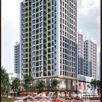 Bán Cc Tại Tòa Nhà Dầu Khí Nghệ An, 34,X Triệu Vnd, 54 M2, Giá Siêu Hời, Liên Hệ: 0911.166.356