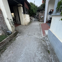 Chính Chủ Gửi Bán Đất Tự Nhiên - Thường Tín - Hn Diện Tích: 80M2 Ngõ Thông Tứ Tung