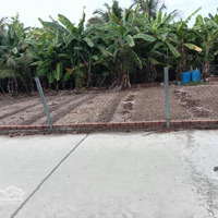 Bán Đất Đường Phan Văn Đáng, Thành Hòa, Xã Phú Hữu, View Sông 509M2 Có 300M2 Thổ Cư Làm Nhà Vườn