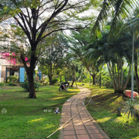 Á Khôi Villa Park, Công Viên Trước Và Sau Nhà 45 Tỷ, Thêm 160M2 Sân Vườn