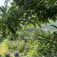 Aman Blao - Đất nền nghỉ dưỡng 1000m2 có suối bao quanh, cộng đồng dân cư hiện hữu, đồng hành, giá chỉ từ 1.9tr/m2