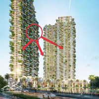 Bán Căn Hộ 3Pn 2 Vệ Sinhsol Forest Kđt Ecopark Văn Giang Hưng Yên Giá Tốt Nhất Thị Trường 5.950 Bao Phí