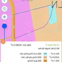 11050M2 Cư Ni Eakar Daklak Có Vườn Cây Đất 2 Mặt Tiền Bám Đường 87.5M Đường Betong 5M Giá Bán Ngộp