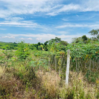 11050M2 Cư Ni Eakar Daklak Có Vườn Cây Đất 2 Mặt Tiền Bám Đường 87.5M Đường Betong 5M Giá Bán Ngộp