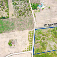 11050M2 Cư Ni Eakar Daklak Có Vườn Cây Đất 2 Mặt Tiền Bám Đường 87.5M Đường Betong 5M Giá Bán Ngộp