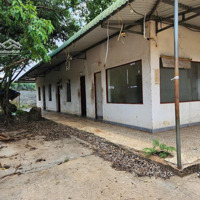 Cho Thuê Kho, Nhà Xưởng, Giá Ưu Đãi, 160 Triệu, 3900M2 Tại Suối Tre, Long Khánh, Đồng Nai