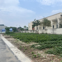Cần Tìm Chủ Nhân Lô Đất Mai Hiên - Mai Lâm. 83M2, Gần Đường Dẫn Cầu Tứ Liên. Giá Đầu Tư.